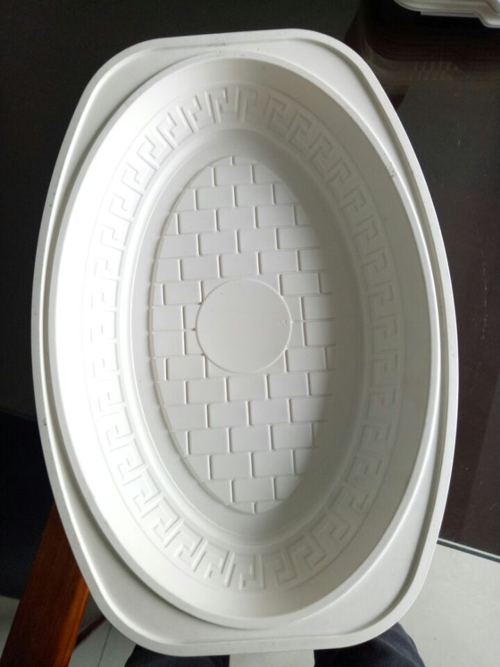biodegradable corn starch plate.jpg