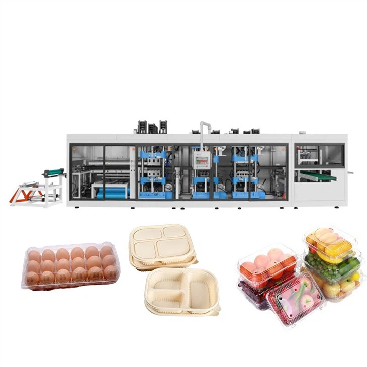 Rectangular Sushi Snack Packing Tray Making Machine